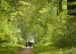 Parc naturel des Plaines de l'Escaut