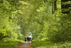 Parc naturel des Plaines de l'Escaut