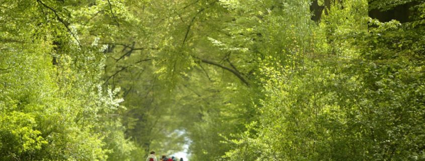 Parc naturel des Plaines de l'Escaut